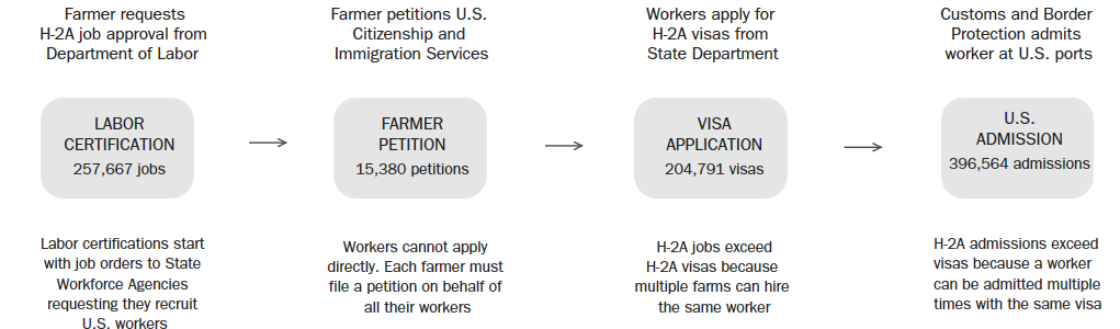 H2A Application Processpng